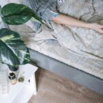 Small Bedroom Plants